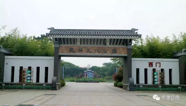 贵港旅游景点介绍大全集（贵港这些旅游胜地你都去过了吗）(6)