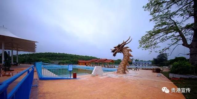 贵港旅游景点介绍大全集（贵港这些旅游胜地你都去过了吗）(26)
