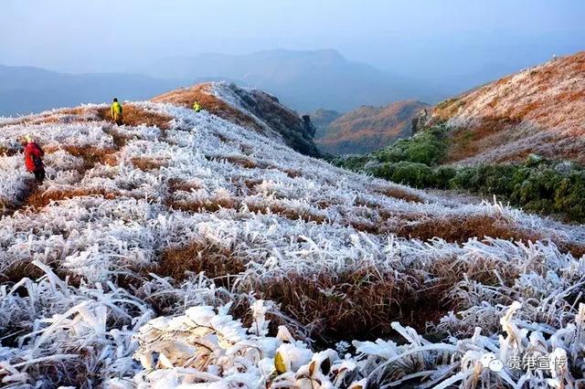 贵港旅游景点介绍大全集（贵港这些旅游胜地你都去过了吗）(20)