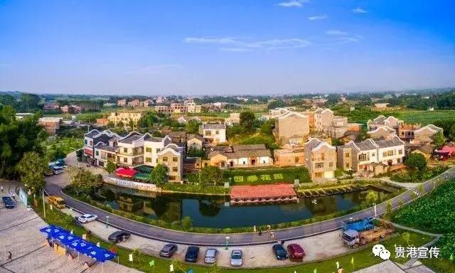 贵港旅游景点介绍大全集（贵港这些旅游胜地你都去过了吗）(17)