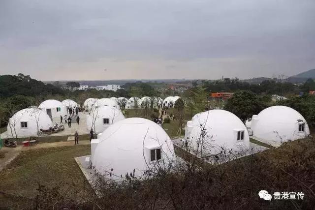 贵港旅游景点介绍大全集（贵港这些旅游胜地你都去过了吗）(40)