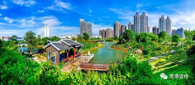 贵港旅游景点介绍大全集（贵港这些旅游胜地你都去过了吗）(5)