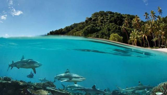 出国旅游自由行详细攻略（出境游最强攻略送上）(16)