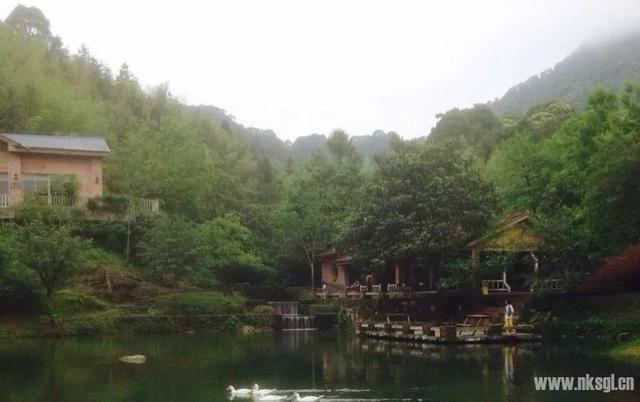 南昆山旅游景点先行攻略（你说去过南昆山玩）(3)