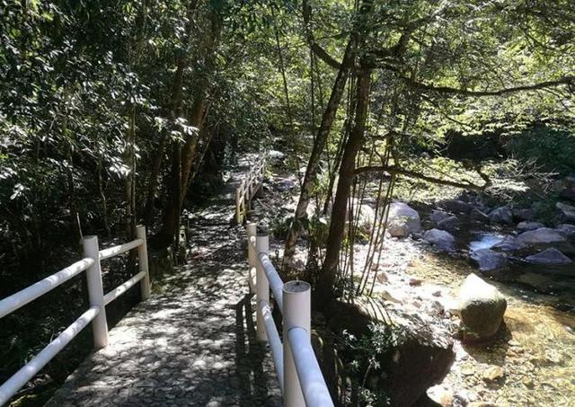 南昆山旅游景点先行攻略（你说去过南昆山玩）(7)