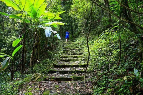 南昆山旅游景点先行攻略（你说去过南昆山玩）(5)