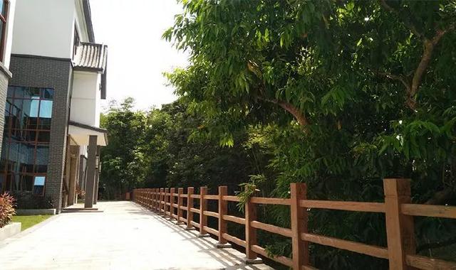 南昆山旅游景点先行攻略（你说去过南昆山玩）(31)