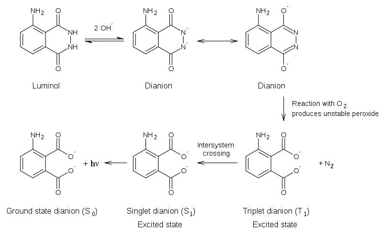 鲁米诺反应是什么（鲁米诺反应简单介绍）