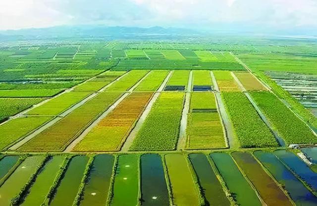 固原市原州区官网（宁夏固原市原州区）(7)