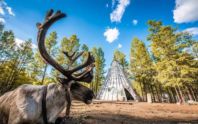 呼伦贝尔旅游必去十大景点推荐（呼伦贝尔深度游攻略）(34)