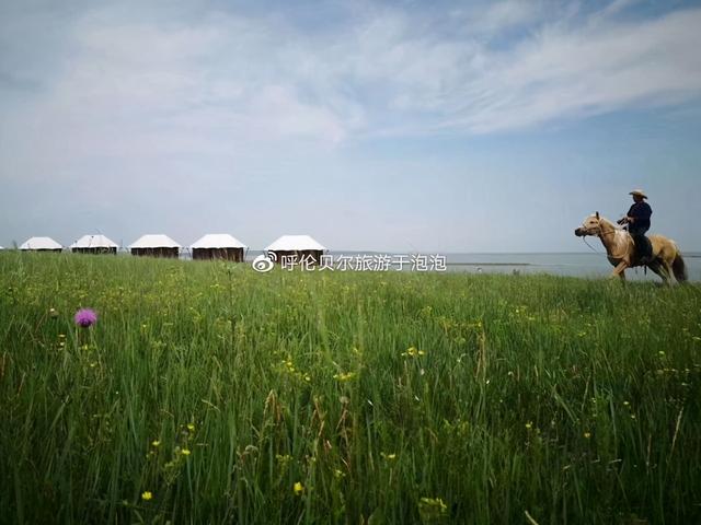 呼伦贝尔旅游必去十大景点推荐（呼伦贝尔深度游攻略）(27)
