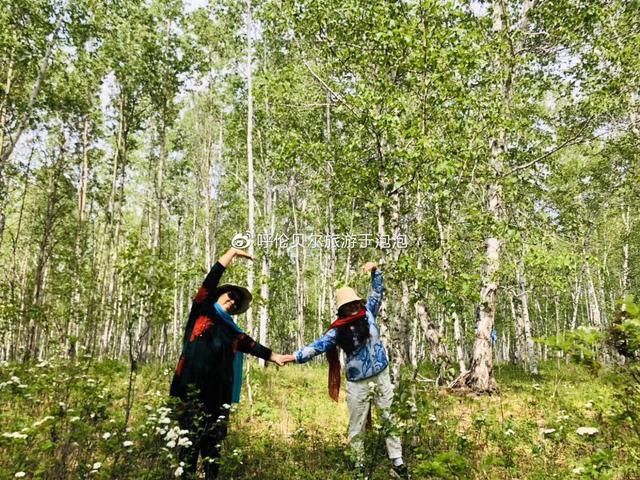 呼伦贝尔旅游必去十大景点推荐（呼伦贝尔深度游攻略）(11)