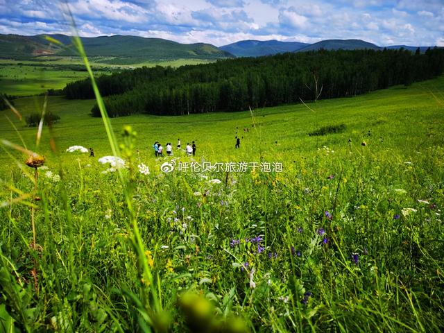 呼伦贝尔旅游必去十大景点推荐（呼伦贝尔深度游攻略）(9)