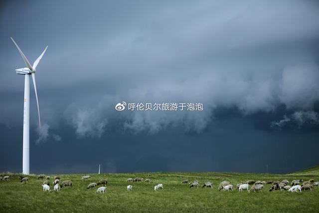 呼伦贝尔旅游必去十大景点推荐（呼伦贝尔深度游攻略）(25)