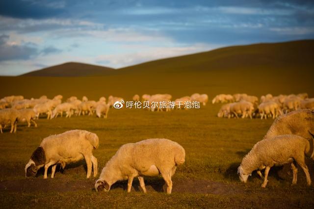 呼伦贝尔旅游必去十大景点推荐（呼伦贝尔深度游攻略）(24)