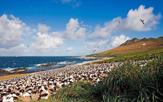 南极旅游攻略最详细（近期火上了天的南极旅游）(3)