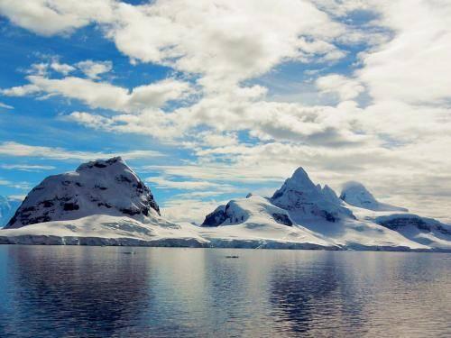 南极旅游攻略最详细（近期火上了天的南极旅游）(2)