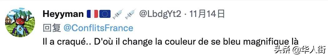 法国国旗为什么变色了(法国竟然悄悄换上新国旗)(15)