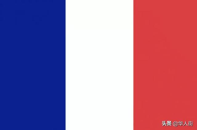 法国国旗为什么变色了(法国竟然悄悄换上新国旗)(11)