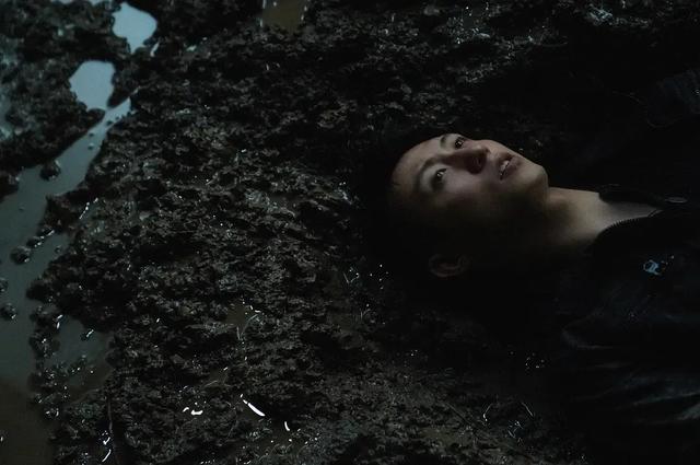 荞麦为什么没有疯长（谁说荞麦疯长是）(6)