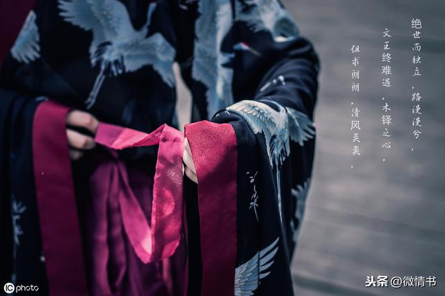 李商隐锦瑟的主要内涵(为什么李商隐的锦瑟)(6)