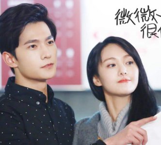 ​微微一笑很倾城见面会是第几集