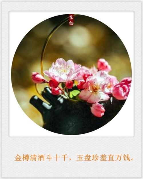 玉盘珍羞直万钱的上一句是什么（玉盘珍羞直万钱原文及翻译）