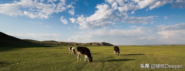 蒙牛纯牛奶为什么这么便宜（超市里进口牛奶1L6.5元）(2)