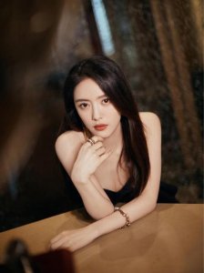 ​蔡文静个人资料（蔡文静个人资料简介）