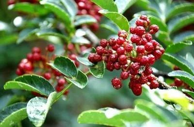 阳泉旅游详细攻略（一个曾经很辉煌）(15)