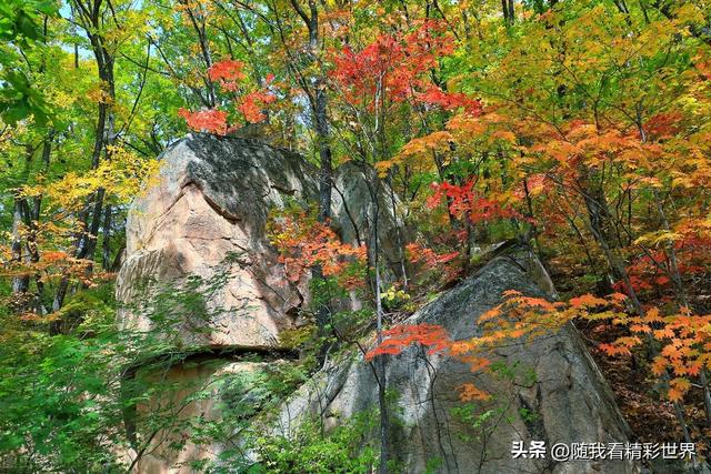 本溪旅游攻略必去景点推荐一日游 来辽宁必打卡的八处景点(26)