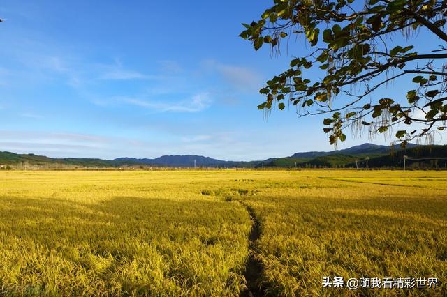 本溪旅游攻略必去景点推荐一日游 来辽宁必打卡的八处景点(31)