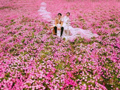 ​上海婚纱摄影排行榜排名前十名（上海婚纱摄影排名榜）