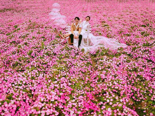 上海婚纱摄影排行榜排名前十名（上海婚纱摄影排名榜）(1)