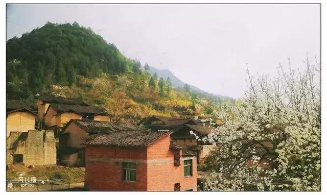 清明去哪旅游最合适（清明出游指南收拾行囊）(20)