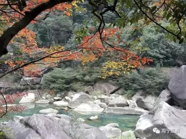 清明去哪旅游最合适（清明出游指南收拾行囊）(18)