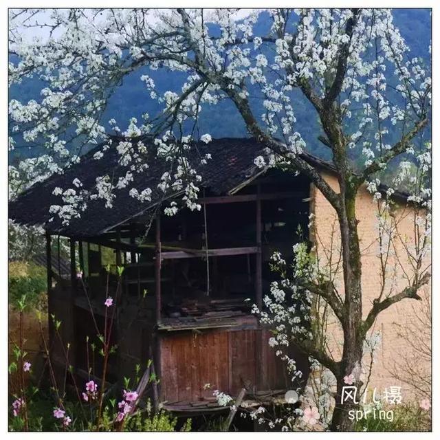 清明去哪旅游最合适（清明出游指南收拾行囊）(21)