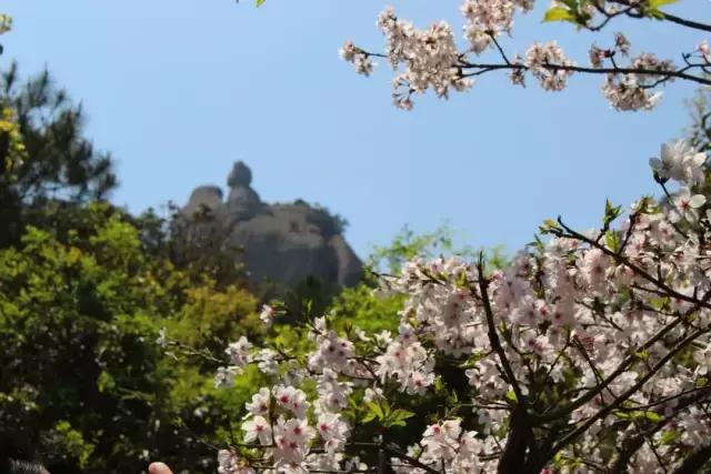 清明去哪旅游最合适（清明出游指南收拾行囊）(9)