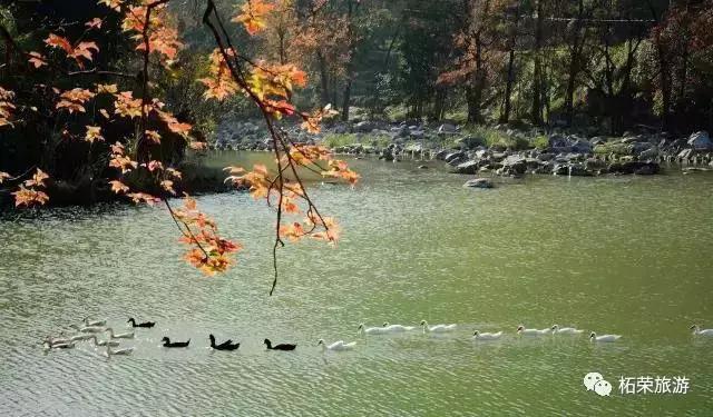 清明去哪旅游最合适（清明出游指南收拾行囊）(16)