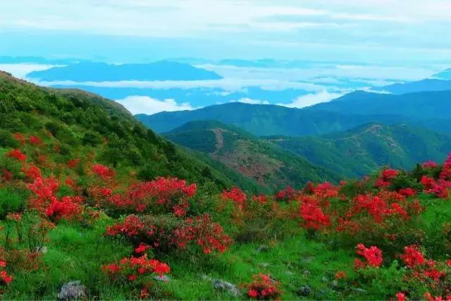 清明去哪旅游最合适（清明出游指南收拾行囊）(5)