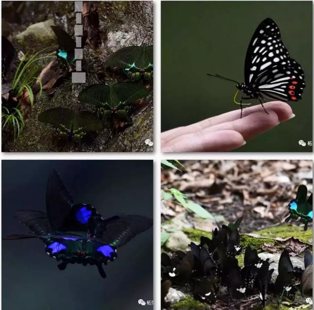 清明去哪旅游最合适（清明出游指南收拾行囊）(17)