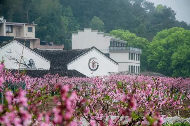 清明去哪旅游最合适（清明出游指南收拾行囊）(3)