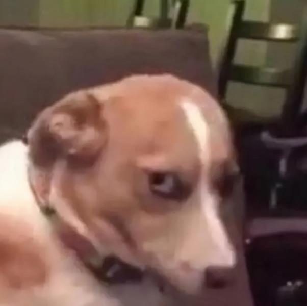 安卓手机工具推荐（安卓手机必备）(8)