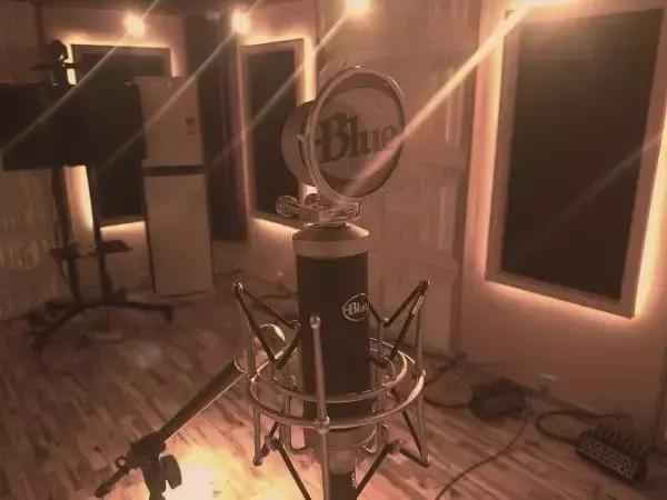 唱歌主播专用麦克风（歌手定制主播新宠）(15)