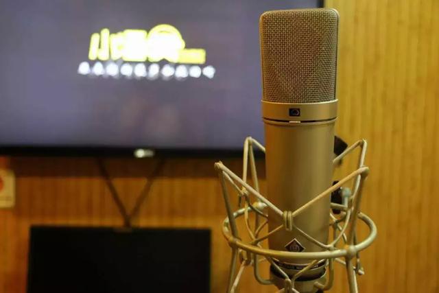 唱歌主播专用麦克风（歌手定制主播新宠）(20)