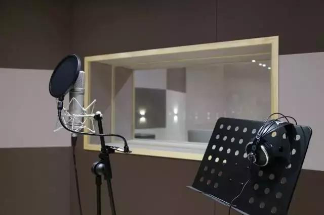 唱歌主播专用麦克风（歌手定制主播新宠）(9)