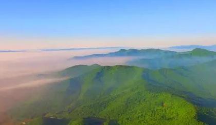 野生东北虎已经有几只了(全国真的只有27只了)(9)