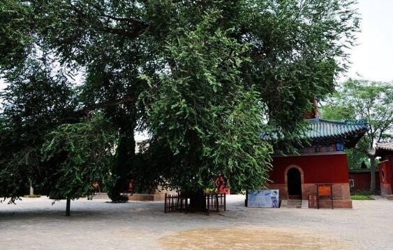 焦作必去的十大景点 焦作十大好玩的旅游景点(10)