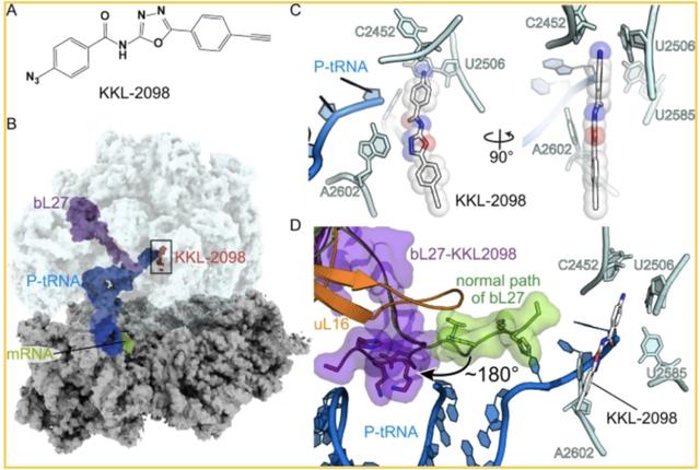 各种性病的检测方式(性病治疗迎来新突破)(3)