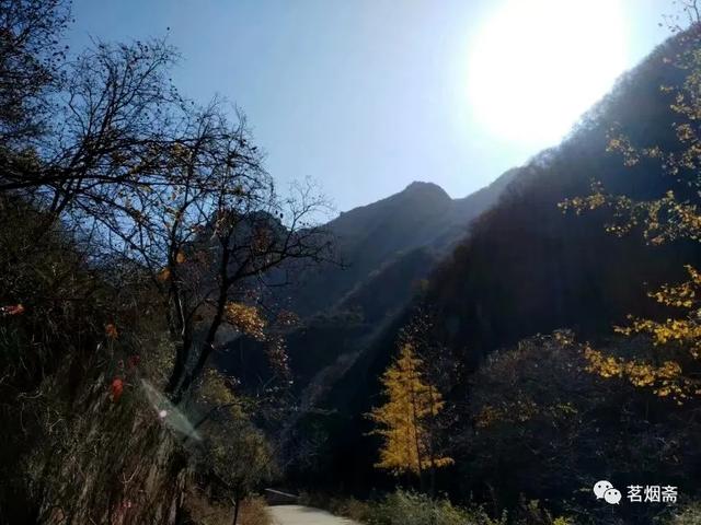 昌平沟崖自然风景区(说昌平之沟崖揽胜)(3)